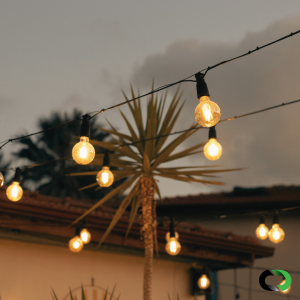 Festoon Lighting