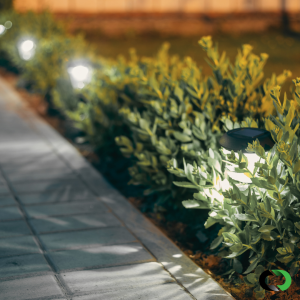 Path Lighting