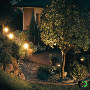Tree uplights